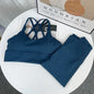 2 Piece Yoga Set Breathable Fitness Suit