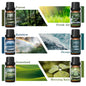 Fragrance Oils Set-For Aromatherapy,Diffuser,Humidifier